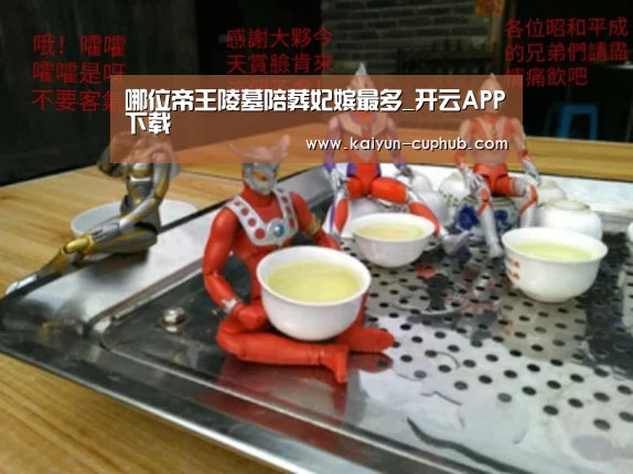 哪位帝王陵墓陪葬妃嫔最多_开云APP下载(图2) 开云电竞APP