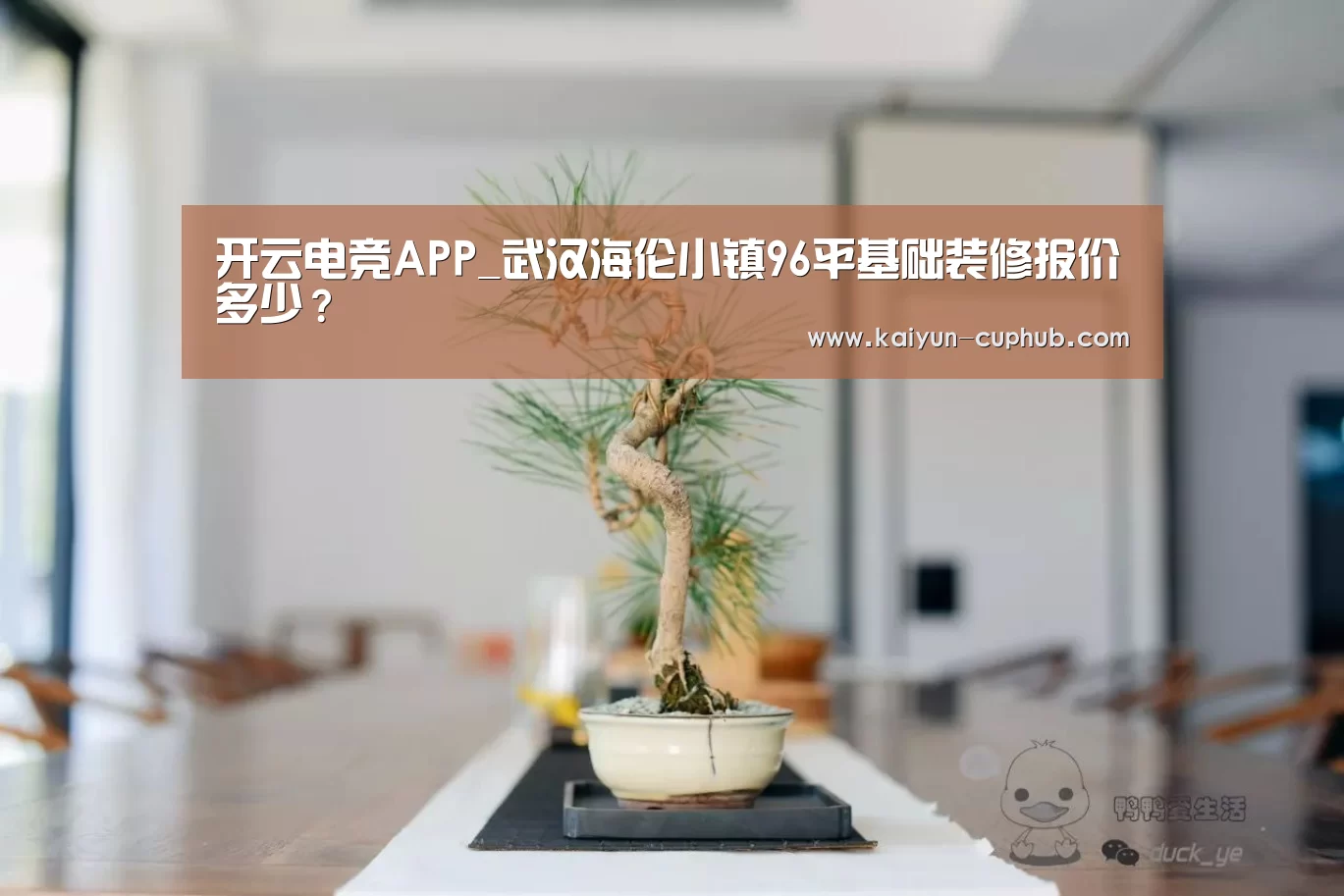 开云电竞APP_武汉海伦小镇96平基础装