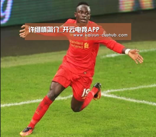 许继慎简介_开云电竞APP